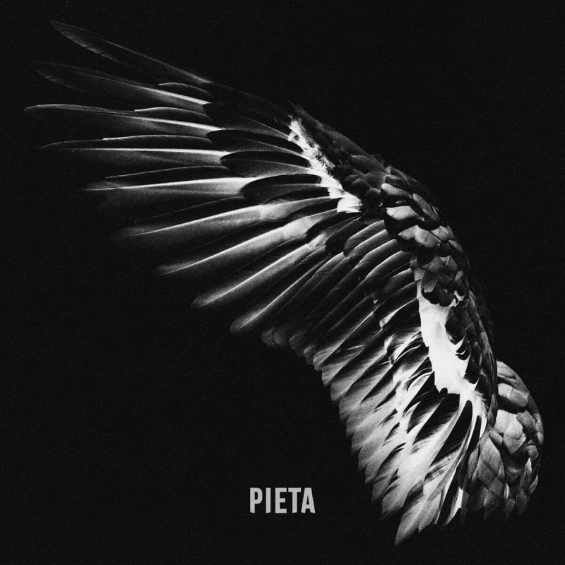 Pieta - About Sympathy