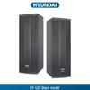 Hyundai HY-420 Active Speaker