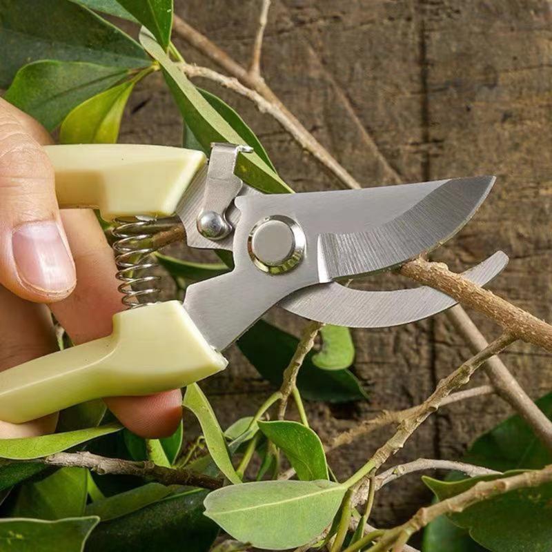 Carbon Steel Pruning Picking Gardening Shears Nonslip Handle For Deadheading & Shaping Flowers Or Fruits Easy Harvesting