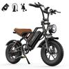 Varun Plorer Fat Electric Off Road Motorcycle 16 Inch Fat Tires 500W 48V13Ah Battery Outdoor Riding Electric Bike Adult E-Mountain Bike