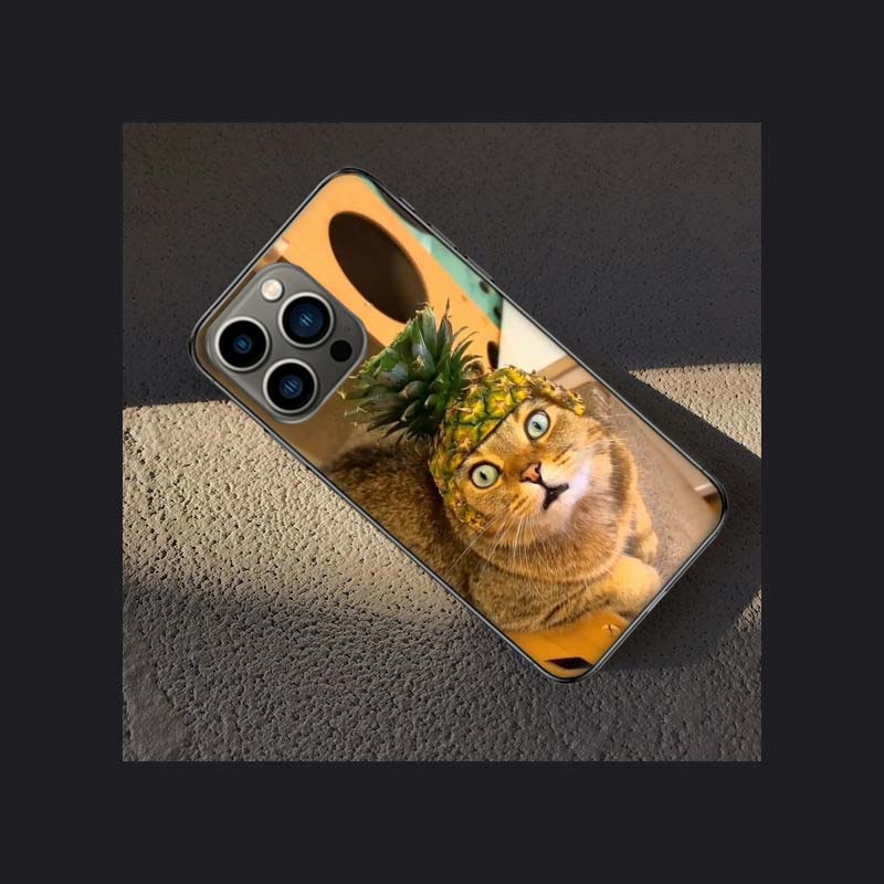 Pet Cat Funny Memes Phone Case For Apple Iphone 16E 16 Pro Max 15 Plus Soft 13 12 Mini Cover 11 14 Pro Max Capa 8 7 SE Shell Coq