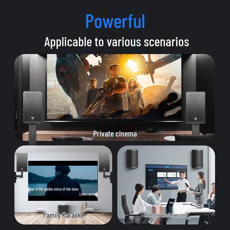 SAST KP10V 10-inch Professional Stage Speaker