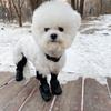 Dog Suspender Boots Connected Dog Rain Shoes Waterproof Doggy Booties Adjustable Dog Paw Protectors