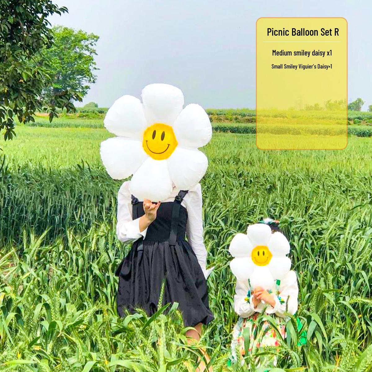 

Smiley Daisy Balloon Set: Picnic & Birthday Photo Props for Kids