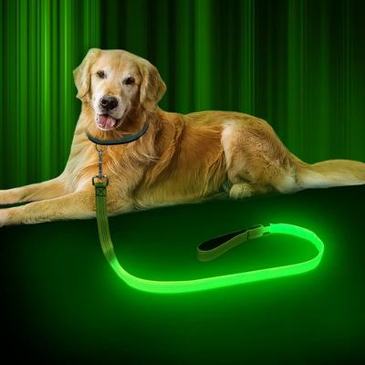 Köpek – Köpek Tasmaları ve Tasma Kayışları