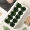 Grade B 3-4 Roses 10 Flowers Dried Flowers Unicorn Valentine's Day DIY Gift Box Material Pack Immortal Flower Bouquet