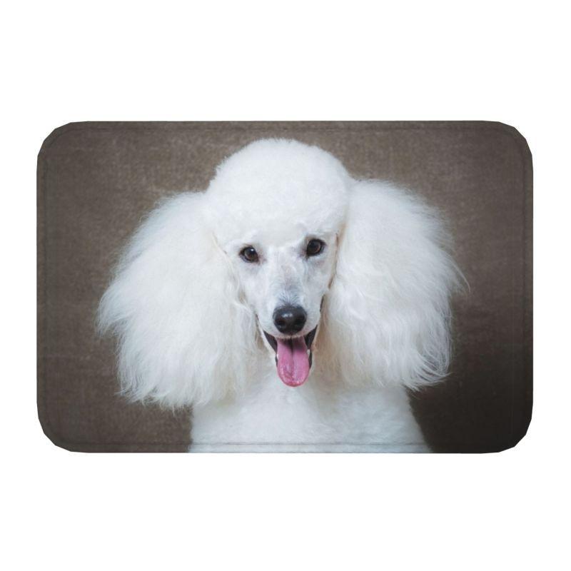 Starry Night Poodle Entrance Door Mat Anti-Slip Kitchen Bathroom Cute Pet Puppy Floor Bedroom Home Decor Rug Entrance Carpet Rug