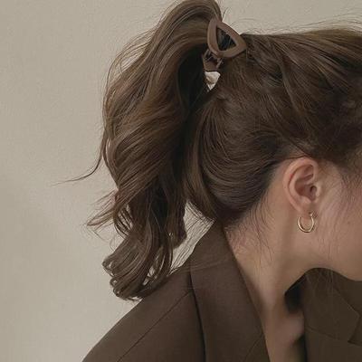 High Ponytail Shark Hair Clip - Women's Small Hairpin for Back of Head