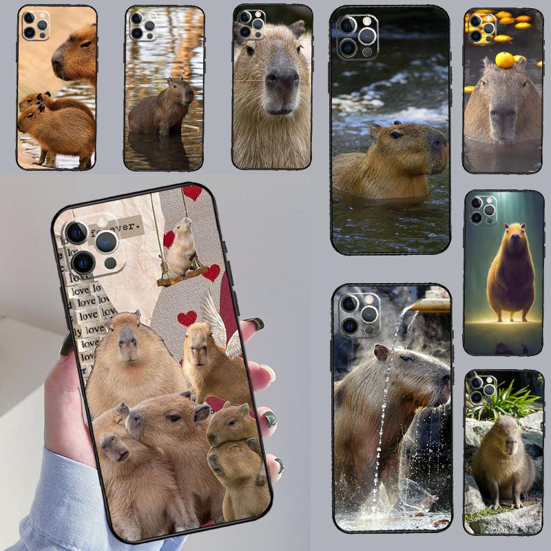 Animal Funny Capybara Case For iPhone 16 Pro Max 14 13 12 11 15 17 Pro Max mini 15 16 Plus 16e 17 Air Phone Cover