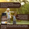 Aminochondroitin sulfate capsules 2100mg containing turmeric MSM for joint health 120 capsules