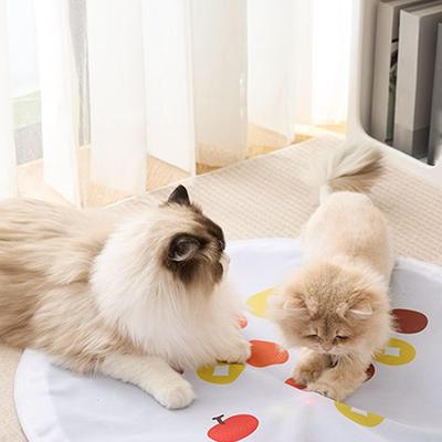 Cat Toys Interactive Electric Rolling Ball In Cover 2 In 1 Fun Catching Game For Pet Hunting Exercise Floor Activity Play