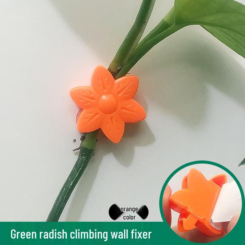 Self-Adhesive Invisible Clips for Wall-Mounting Green Vines and Ivy
