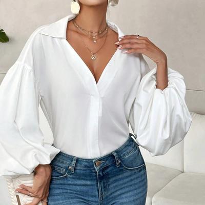 Women Shirt Lapel Half Open Collar Puff Long Sleeve Shirt Tops A-Line Tunic Soft Chiffon Casual Blouse Daily Wear