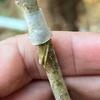 Pfropfhülle Pflanzhülle für Blumenkeimlinge wasserdicht und flexibel kleine Pfropfhülsen Gartenpflanzenzubehör