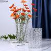 Relief Texture Glass Vase Creative Hydroponic Flower Pot Desk Decoration Artificial Flower Decorative Floral Arrangement Vases