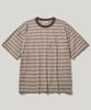 RUSTICCLUB Rc Dusty Stripe Crop T-Shirt_Light Brown