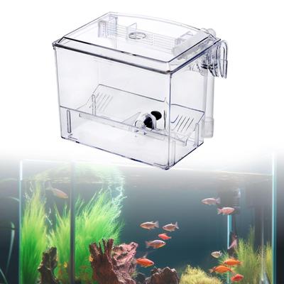 Fischzuchtbox Hängende Aufzucht Quadratisch Multifunktional Transparent Trennung