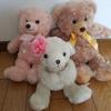 [USED] 3 Teddy Bears