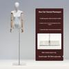 Korean Style Flat Body Female Mannequin with Wide Shoulders for Women's Clothing Display