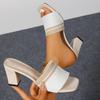 Fashion Women's Stripe Mixed Colors High Heel Sandals 2025 Summer Comfort Thick Heel Slippers Woman Plus Size Square Toe Casual Slides