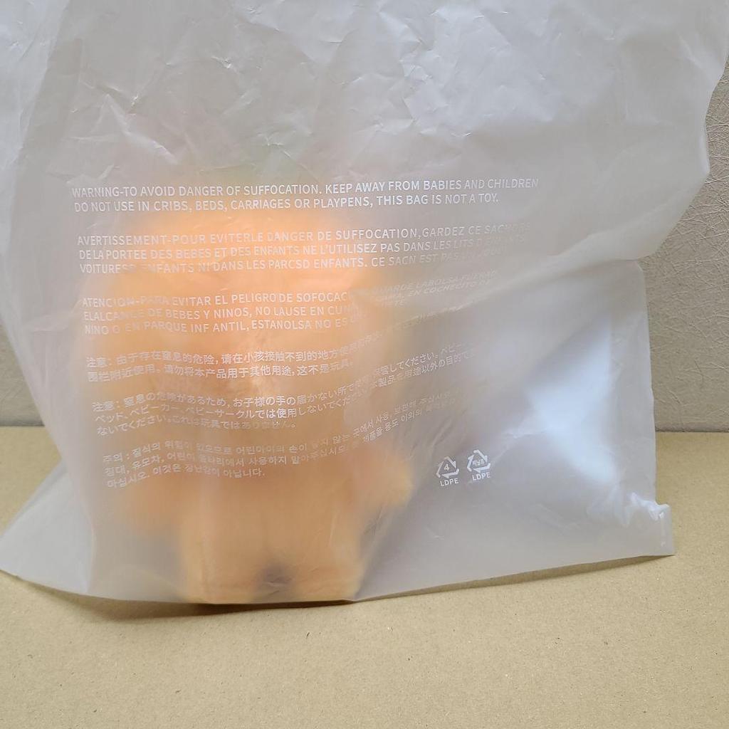 [USED] MINITEEN Seungkwan Plush Toy Pugyuri Miniteen