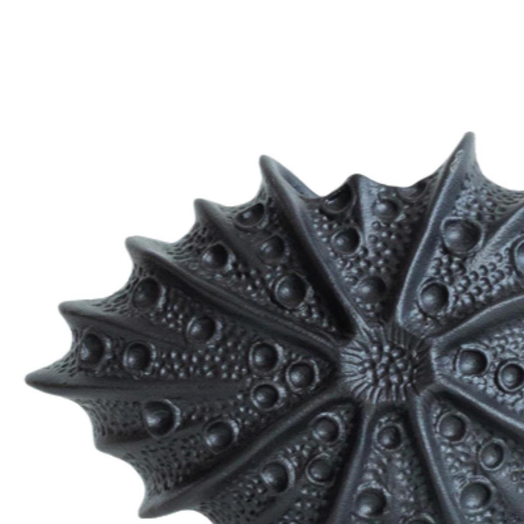 Ceramic Flower Holder for Home , Shell Design Office And Living Areas