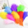 20Pcs Turkey Marabou Feathers Plumes DIY Creative Leisure Decoration Wedding Carnival Handicrafts Accessories Fly Tying Material
