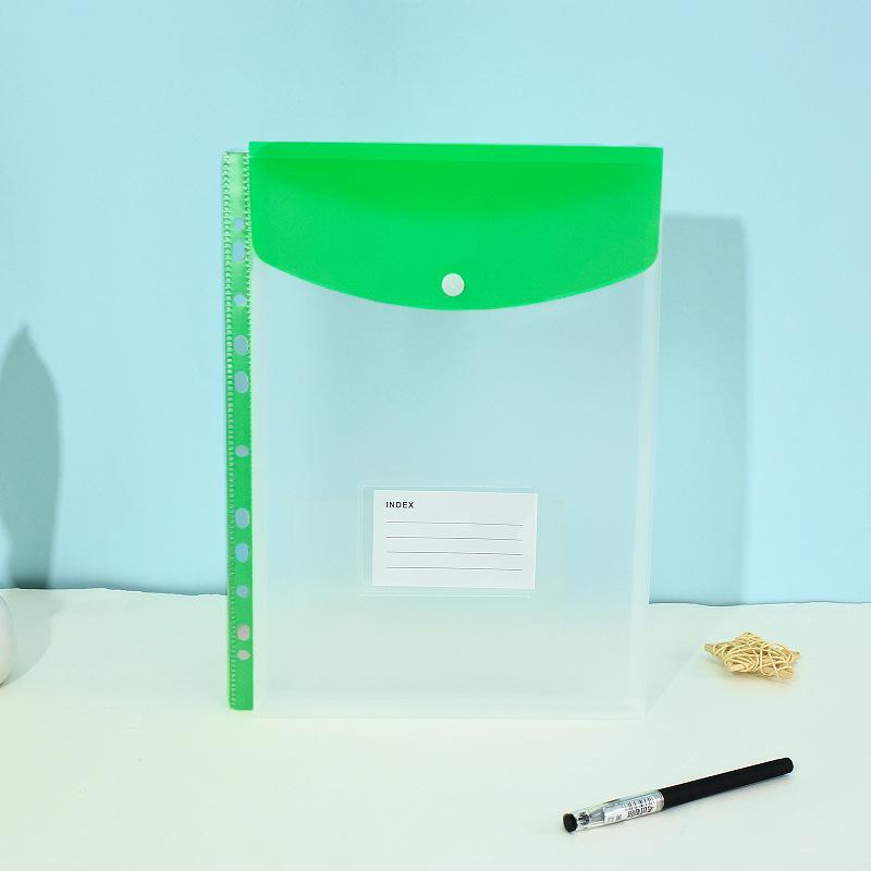 11-Hole 3D A4 Transparent Snap-Button File Bag with Card Holder - Colorful Student Document Organizer