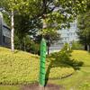 2Pcs Tree Trunk Protector Guard Spiral Design Tube Wraps Effective Tree Protection Anti-bite Sturdy Tree Bark Cover