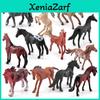 Miniature Animal Horse Model Pvc Static Figurines Set Collectible Display Models For Animal Fans