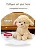 Peluche Cane Teddy Carino - Peluche per Matrimoni e Compleanni di Bambini