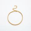 New European and American Stainless Steel Flat Snake Bracelet, Light Luxury Minimalist, Stackable Basic Accessory Chain