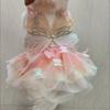 Puppy Gown Fluffy Pet Princess Dress Breathable Soft Dog Wedding Skirts Creative Tulle Skirt Dog Rainbow Butterfly Dress Summer