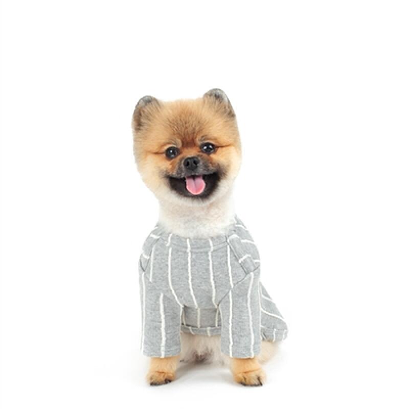 Dangara Point T-shirt _Gray M