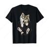 Camisetas e regatas – Camisetas