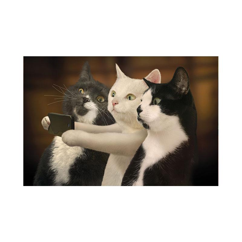 

Забавная картина на холсте с милым котом, постеры и принты с изображением котят с большими глазами, картинки для детской комнаты, домашний декор Quadro 40x50cm No Framed