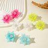 Dopamine Korean Fresh and Sweet Resin Three-dimensional Flower Earrings Earrings for Women