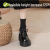 12cm Height Boost Chunky Heel Black Leather Loafers for Women, British Style, Lace-up High Heels for Spring & Autumn
