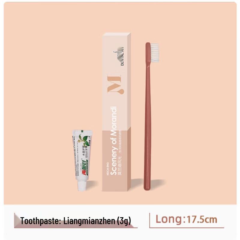 Premium Disposable Hotel Toothbrush & Toothpaste Set