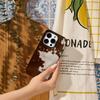 TERRA Brown Fur Phone Case for IPhone 16 15 14 13 12 11 X XS XR XSMAX 7 8 Pro Max Plus Double-layer Back Cover