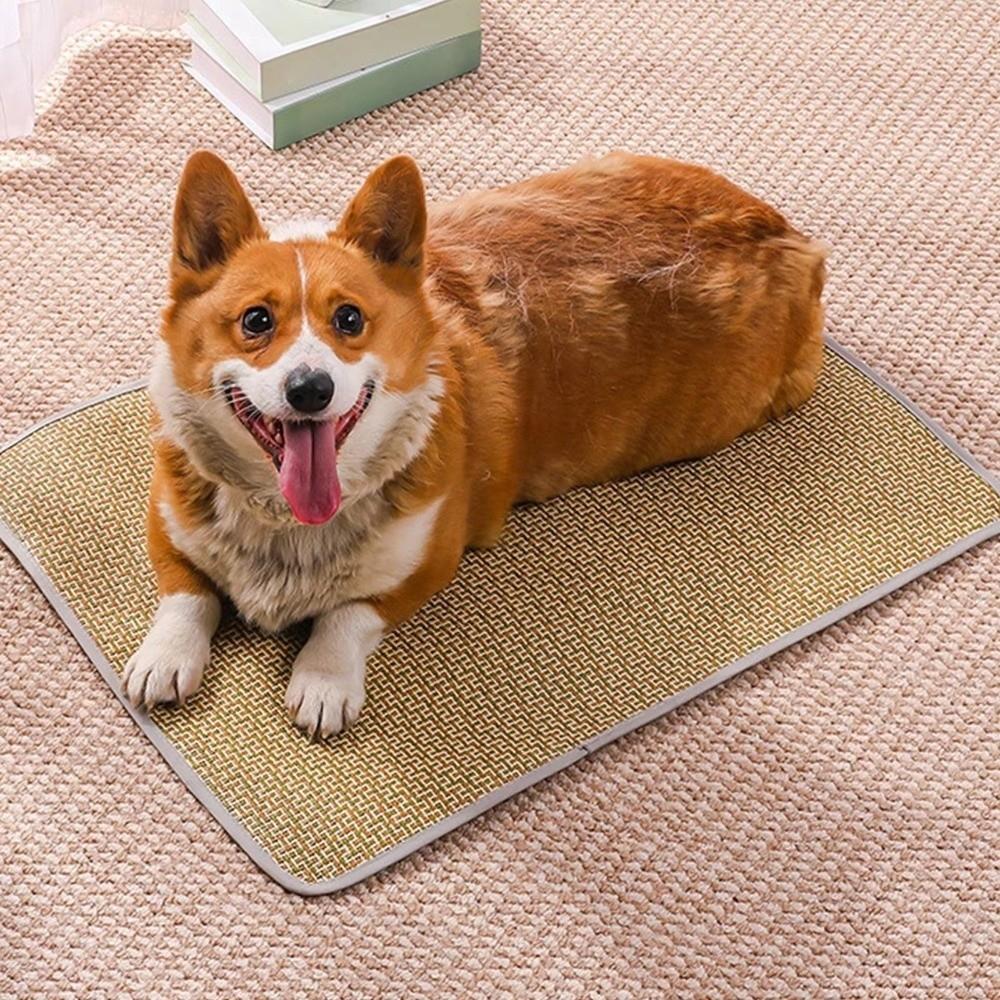 Breathable Pet Cooling Cushion Durable Material Cat Dog Sleeping Mat Pet Cooling Mat Summer