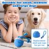 Hundespielzeug, Interaktive Hundebälle, Hüpfballspielzeug, Für Kleine, Mittlere, Große, USB Wiederaufladbar