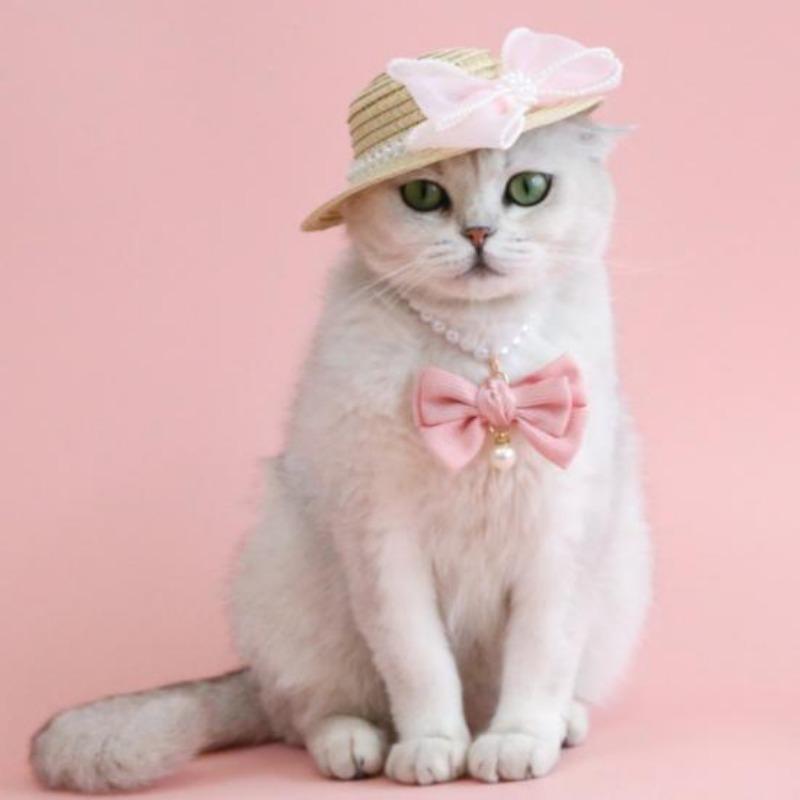Pet Necklace Elegant Adjustable Cat Dog Collar with Faux Pearl Bow Cute Pet Neck Circle Pet Accessory