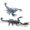 3D Spider Tatuering Scorpion Temporary Tattoo Stickers för Halloween Knepigt