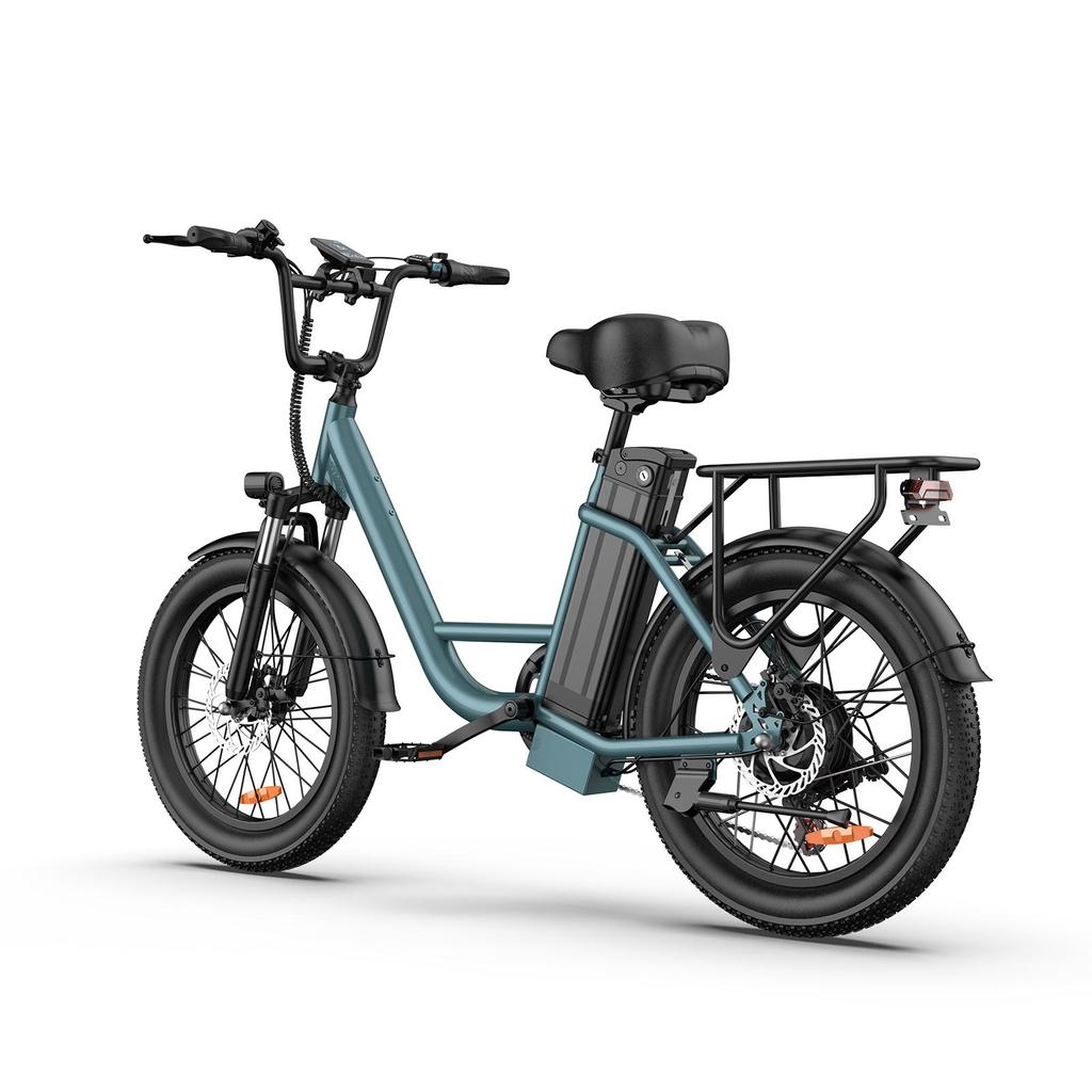 URLIFE-E20 20"x3" Fat Tire Electric Bike - 250W Motor, 48V 13AH Battery, 80-100KM Range