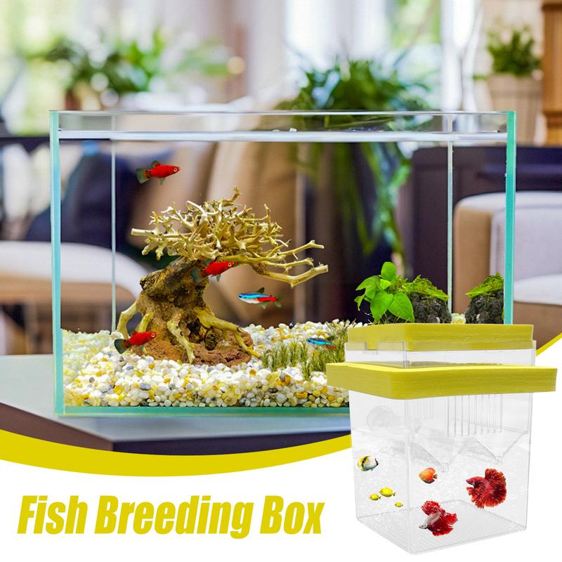 Fischzuchtbox Schwimmend Kleine Garnelen Trennwand Brutkasten Mit Saugnäpfen Guppy Betta Fisch Isolierbox Für