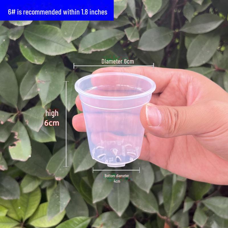 Clear Plastic Orchid Pot: Sphagnum Moss, Square & Round Design for Phalaenopsis or Fish Tanks