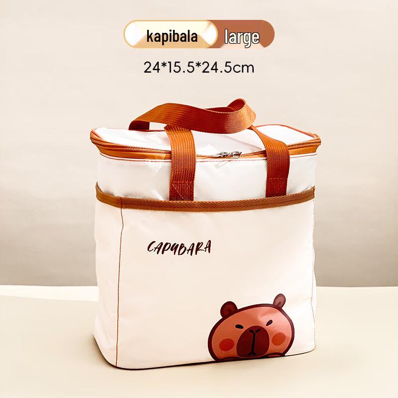 

Portable Insulated Lunch Box Bag