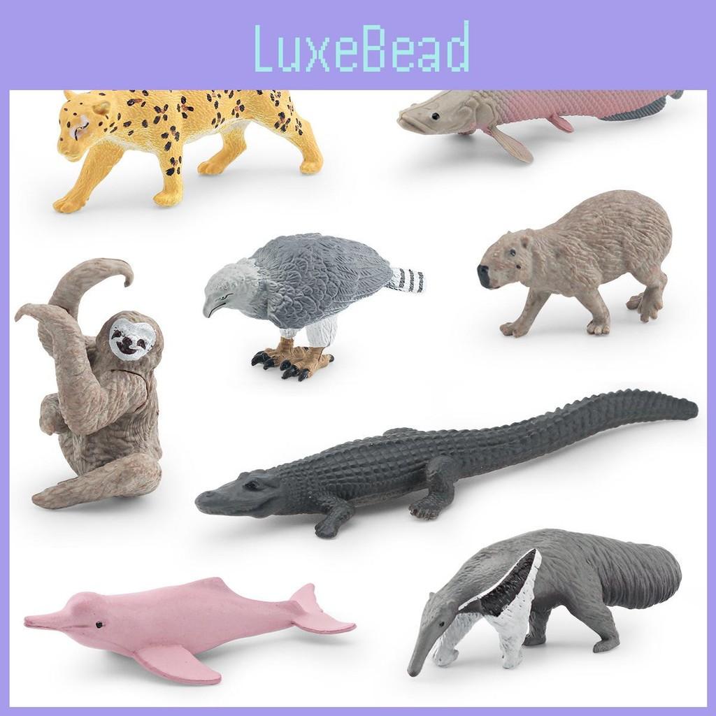 South Crocodile Dolphin American Animal Model Set Home Decor And Toy Teaching