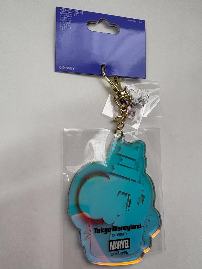 Tokyo Disney Resort Its Small World Groot Keychain Marvel Japan